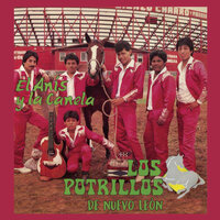 Orfelinda - Los Potrillos de Nuevo Leon