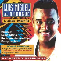 Estoy Herido - luis miguel del amargue