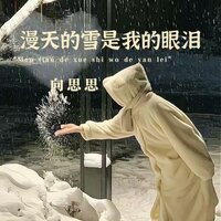 漫天的雪是我的眼泪 - 向思思