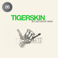 Mistakes - Tigerskin