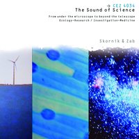 DNA - Guy Skornik & Zab Skornik