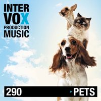 Puppies to Go - Citokid