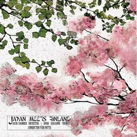My Japanese Friends: Hiro - Aichi Chamber Orchestra & Jouko Harjanne