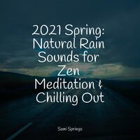 Sounds of Rain and Thunder - White Noise Babies & Sleepy Times & Organic Nature Sounds