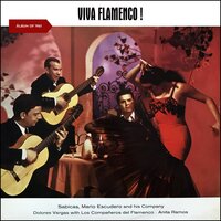 Fiesta Canastero - Enrique Montoya & Mario Escudero & Diegeo Castellon