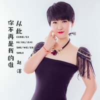 从此你不是我的谁 - 赵洋