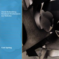 Cool Spring - David Rothenberg & Jay Nicholas & Bernhard Wöstheinrich