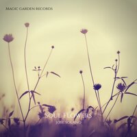 Soul Flowers - Jose Solano