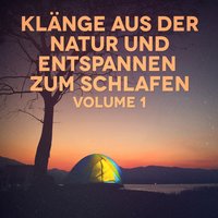 Geräusche aus einem Feld: Lerchen und Grillen - Michael Hamilton