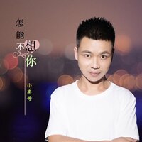 怎能不想你 - 小高哥