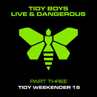 Swinging - Mixed - The Tidy Boys