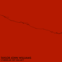 Unbreak My Heart - Taylor John Williams