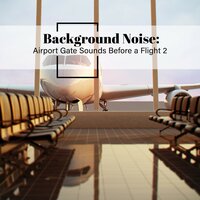 Airport Gate Sounds Before a Flight, Pt. 13 - Thomas O'Reilly