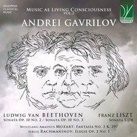 Piano Sonata No. 7 in D Major, Op. 10 No. 3: I. Presto - Андрей Гаврилов & Ludwig van Beethoven