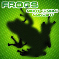 Soothing Jungle Frogs Sounds - Soothing Frogs Sounds & National Geographic Nature Sounds & Nature Sounds New Age & Relaxing Nature Sound & National Geographic Soundscapes & Soothing Sounds