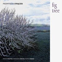 Dualistic - Przemysław Strączek