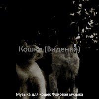 Созерцая (Отдыхающие кошки) - Музыка для кошек Фоновая музыка