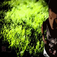 tian致 桥 - Albizzia