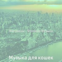 Моменты (Розничная торговля) - Музыка для кошек