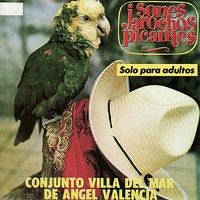 El Animalito - Angel Vanencia