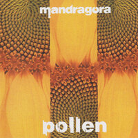 Rebuk - Mandragora