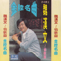 寂寞的男孩 - 魏漢文
