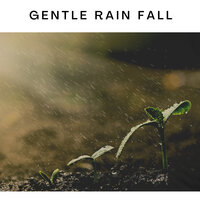 Rain Forest Meditation - ASMR Earth