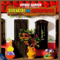 Pájaro Tilín - Hernán Gamboa
