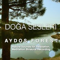 Summer Lakeside - Doğa Sesleri