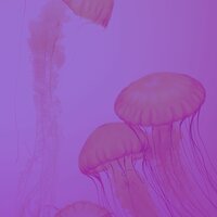 Моменты (Отдыхает) - выдающийся Музыка для сна