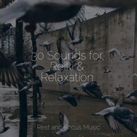 Captured Essence - Tinnitus Aid & Pro Sound Effects Library & Reiki Music