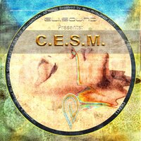 Bazinga - C.E.S.M.