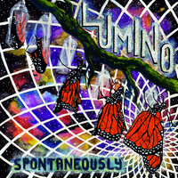 Moving To A New Place - Lumino