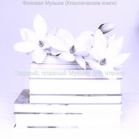 Звуки (Чтение книг) - Гладкий; плавный Музыка для чтения