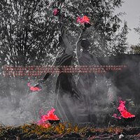 Zaigrale - Argemonia & fsync off