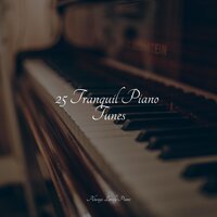 You Are Loved - Relaxed Minds & Piano Music for Work & Classical Study Music