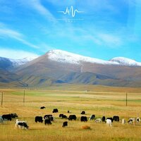 落笔画忧愁 - 林中意