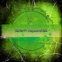 Delightful Diligince - TiDUS
