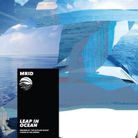 Beautiful Truth - MriD & Ian Urbina