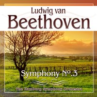 Symphony No.3 in E Flat Major, Op.55 "Eroica": Finale, Allegro molto - The Hamburg Symphony Orchestra
