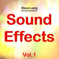 Electric Duck Sound - Steve Lang the Soundcollector