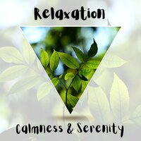 Movements of Dimensions (with Sea Sound) - Nature Sounds & Music Library