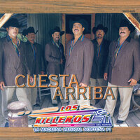 Por Amar A Lo Tonto - Los Rieleros Del Norte