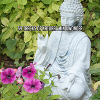 Well Refined Thought - Massage Music