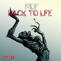 Paranormal - MDF