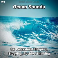 Ocean Sounds Pt. 35 - Beach Sounds & Nature Sounds & Ocean Sounds