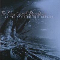 Trawler - Controlled Bleeding