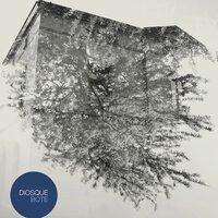 Aires - Diosque