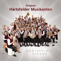 Flashdance - Original Härtsfelder Musikanten