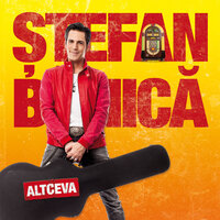 Înger pe pământ - Stefan Banica